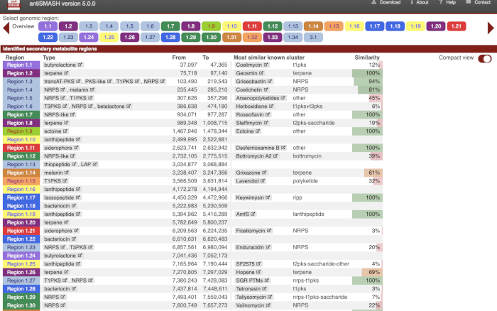 antiSMASH analysis overview, genomic regions table, secondary metabolite identification results.