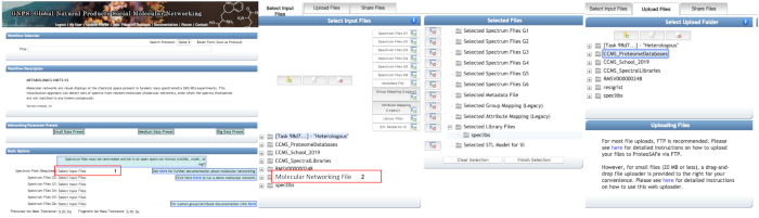 Molecular networking diagram interface; spectroscopy data upload; GNPS analysis preparation.