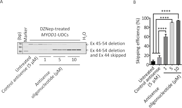 figure-results-3 figure-results-3