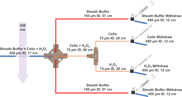 figure-results-3