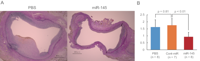 figure-results-1