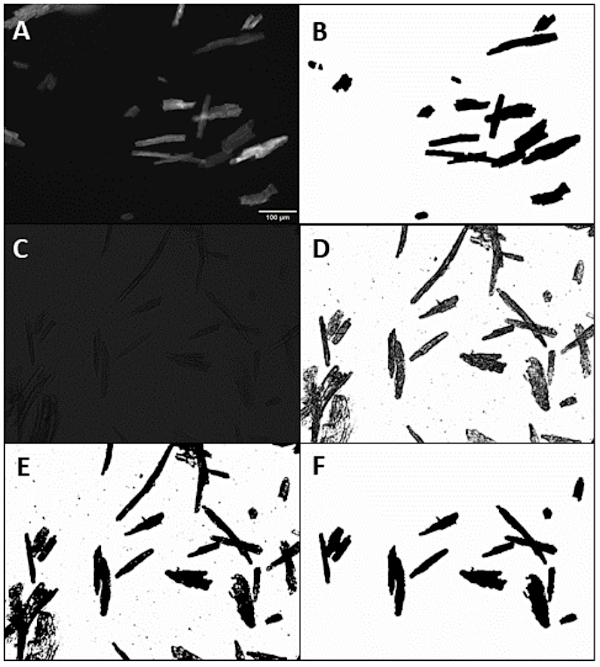 Crystallography analysis, microscopic images A-F; structural comparison, material characterization.