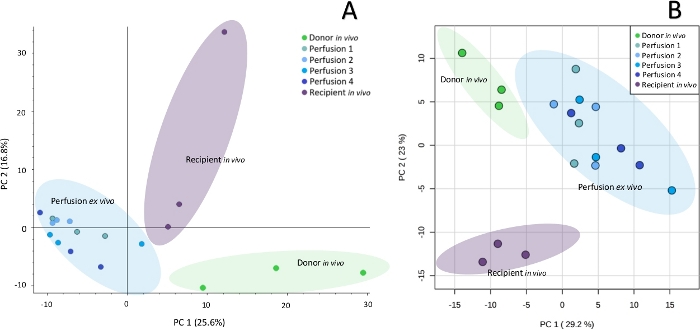 figure-results-2 Principal Component Analysis (PCA) results, plots A and B, show donor and recipient data clustering.