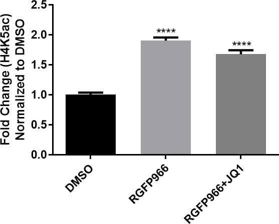 H4K5ac fold change bar graph; DMSO, RGFP966, RGFP966+JQ1; normalized expression analysis.