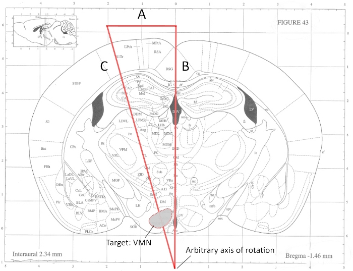 Rat brain atlas diagram, VMN targeting, stereotaxic coordinates, anatomical regions labeled.