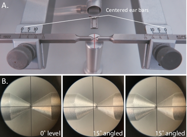 Ear bar alignment in stereotaxic surgery setup with microscope images comparing angles.