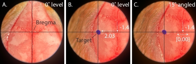 Stereotaxic targeting diagrams at 0° and 15° angles, showing bregma and target coordinates.