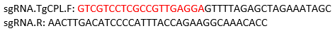 figure-protocol-1