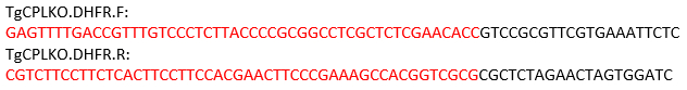 figure-protocol-2