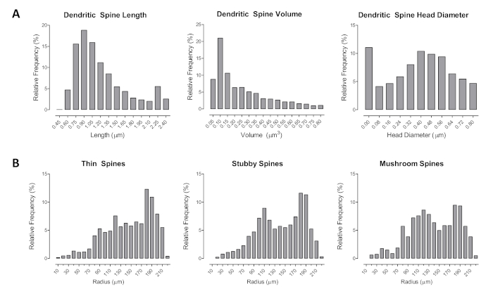 figure-results-3 Dendritic spine measurement charts; length, volume, head diameter, and spine type frequency analysis.