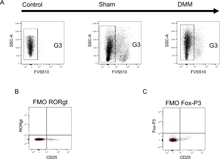 Flow Cytometry Analysis of Immune Cell Subsets within the Murine Spleen ...