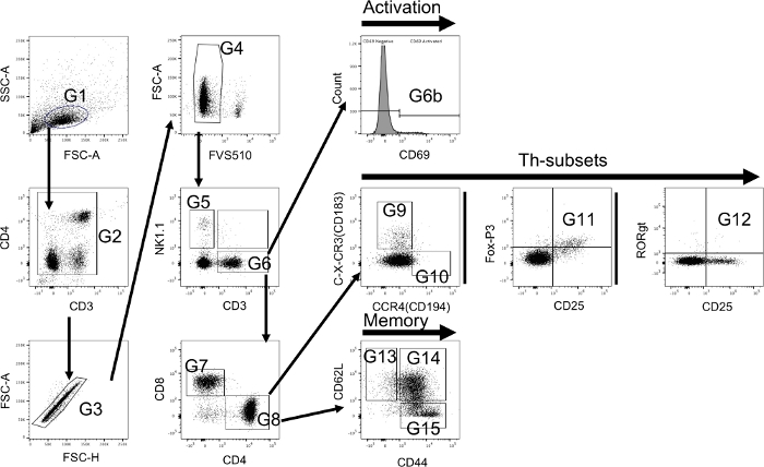 Flow cytometry data analysis diagram with immune cell markers CD3, CD4, CD8, NK1.1, CD69.