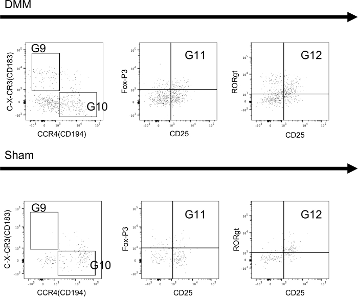 Flow cytometry dot plots showing CD183, CCR4, CD25, FoxP3, and RORγt expression in DMM, Sham.