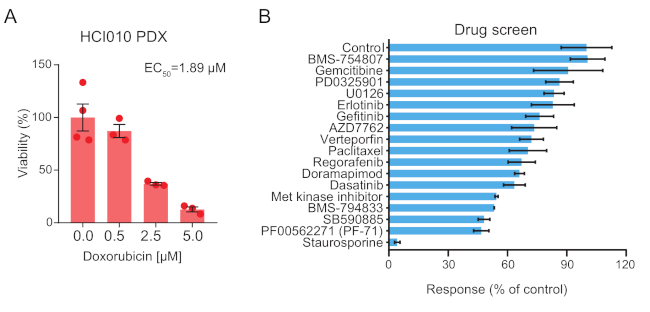 Cancer drug response: Viability vs. Doxorubicin chart, screening assay results for various drugs.