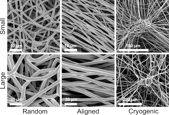 Electrospun fiber morphology, SEM, showing small/large random, aligned, cryogenic samples comparison.