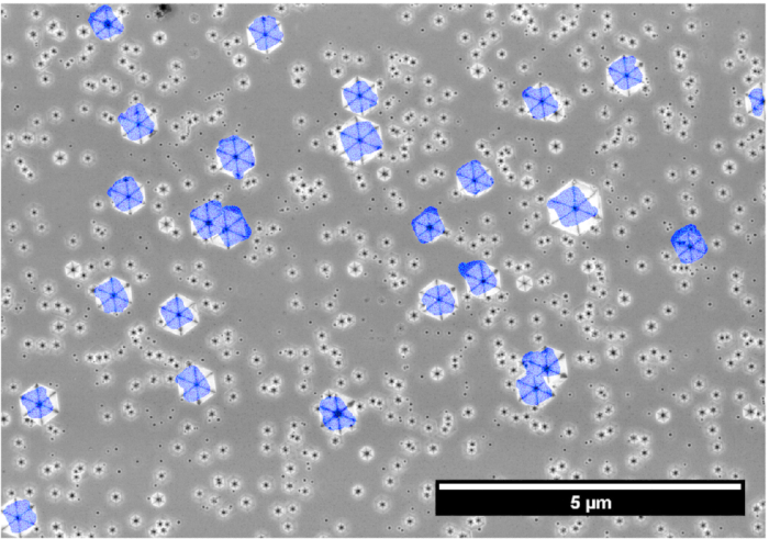 figure-results-6 Nanoparticle dispersion, microscopy image, structural analysis, particle size distribution, 5 μm scale.