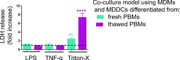LDH release graph in co-culture model; compares MDMs and MDDCs from fresh vs thawed PBMs.