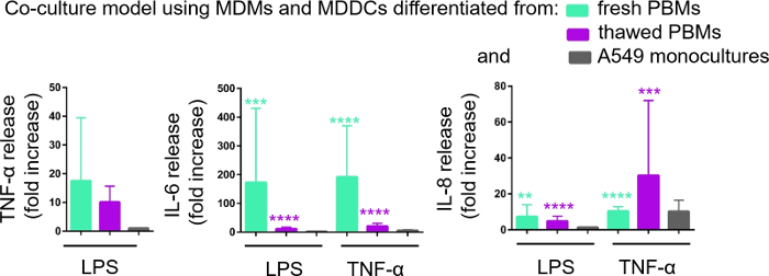Co-culture model graph; TNF-α, IL-6, IL-8 release from PBMs, A549 cells; LPS, TNF-α stimulation.