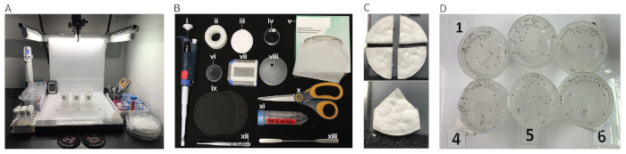 figure-results-3 Seed germination experiment setup; equipment and materials displayed; Petri dishes with samples.