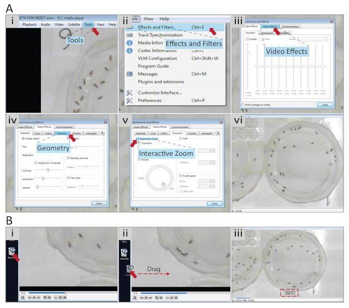 figure-results-4 VLC media player interface setup with video effects, geometry adjustments, and interactive zoom steps.