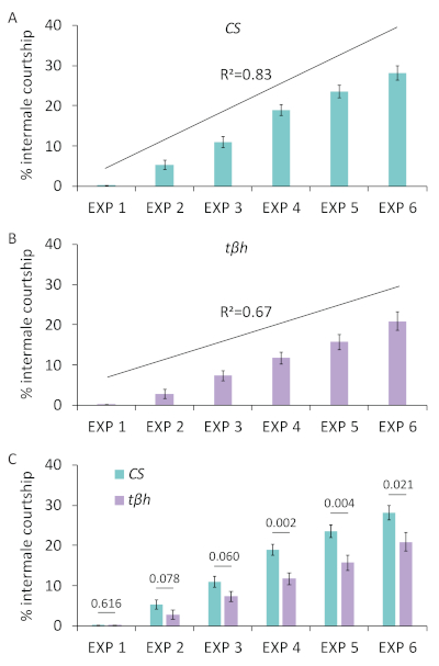 figure-results-7 Graph analyzing interneuronal courtship in experiments with CS, tβh data showing R² trends.