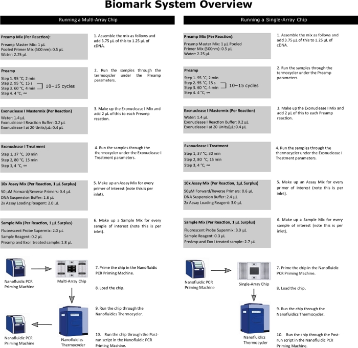 Biomark system overview; multi-array, single-array chip process; PCR; thermocycler diagram.
