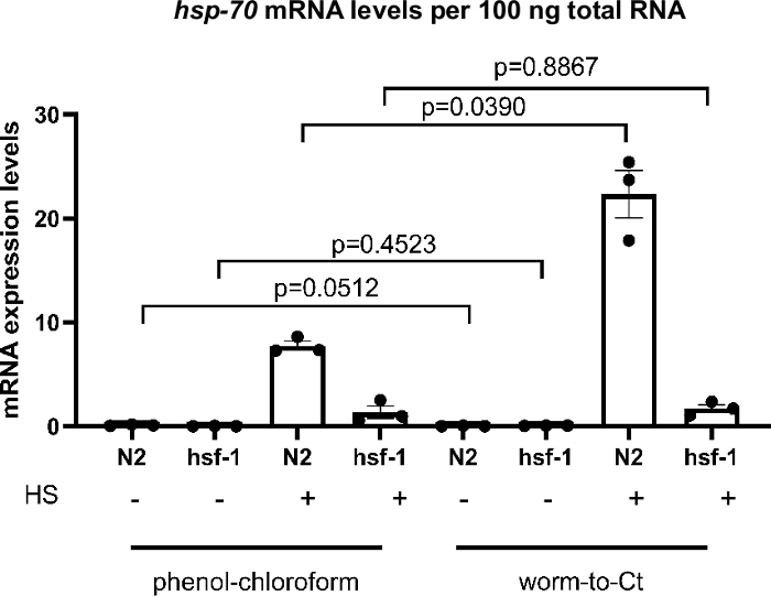 hsp-70 mRNA expression levels bar graph; heat shock protein analysis; phenol-chloroform, worm-to-Ct methods.