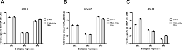 Bar charts comparing qPCR and Multi-Array Chip results for sma-3, sma-10, dnj-26 mRNA expression.