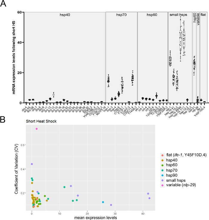 Expression levels of heat shock proteins, mRNA chart, CV scatter plot, short heat shock analysis.