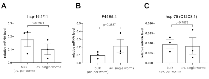 Bar graphs comparing relative mRNA levels for hsp-16.1/11, F44E5.4, hsp-70 in worm samples.