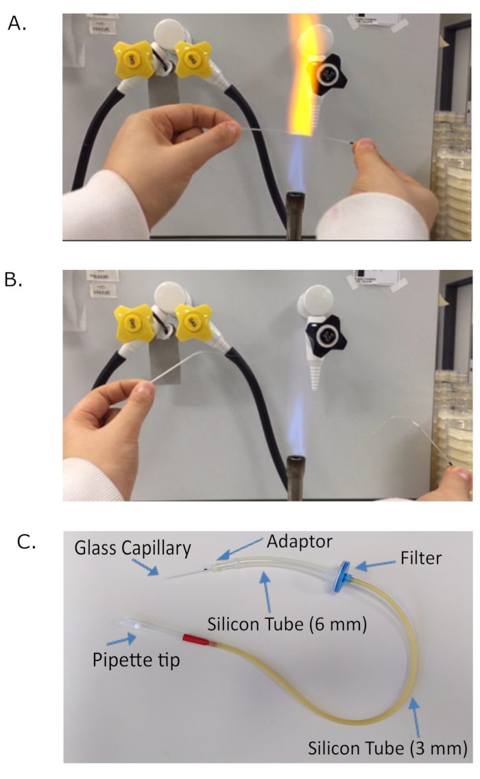 figure-results-1 Glass capillary preparation, flame heating, assembly diagram, lab technique, microfluidic setup.