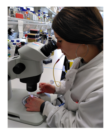 figure-results-2 Microscope analysis, lab setup, observation for cellular study, scientific research, lab experiment.