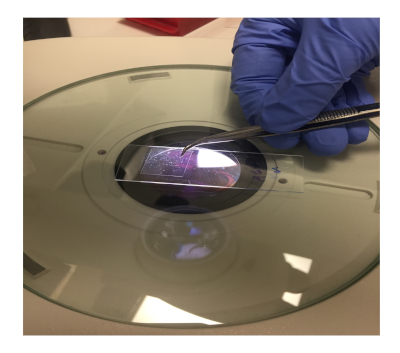 figure-results-3 Microscopy slide preparation; gloved hand, tweezers, microscope stage; cellular analysis process.