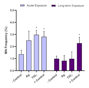 Bar chart of MN frequency (%) comparing acute and long-term exposure.