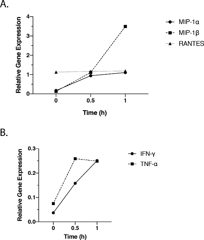 Gene expression graphs; A: MIP-1α/β, RANTES. B: IFN-γ, TNF-α; time vs. relative expression.