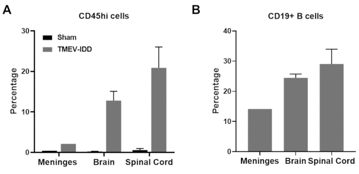 figure-results-4 CD45hi and CD19+ B cell percentages in meningeal, brain, spinal cord; comparative bar chart, TMEV-IDD.