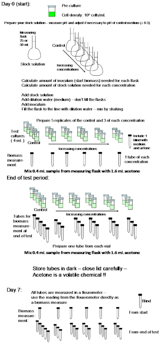 figure-protocol-2 Microbial growth experiment process; biomass measurement; control/concentration increase; diagram.