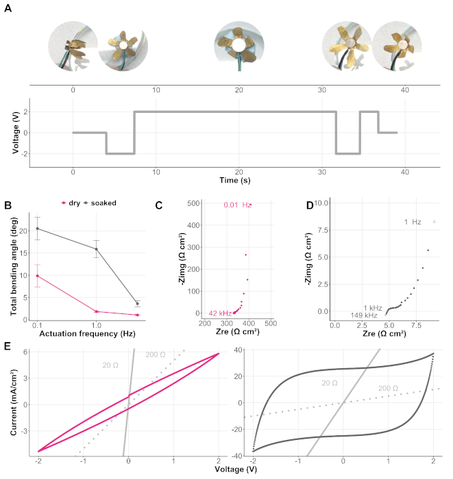figure-results-2