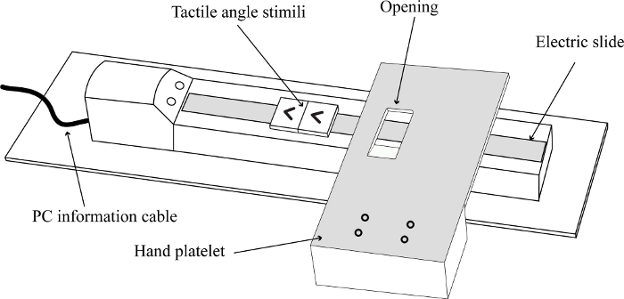 Tactile stimuli diagram; setup includes electric slide, tactile angle, PC cable; sensory research.