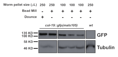 figure-results-2