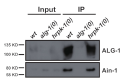 figure-results-3