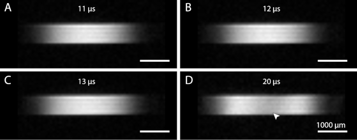 figure-results-7 Transient absorption spectra, 11-20μs delay, diagram, optical excitation measurement, scale 1000μm.
