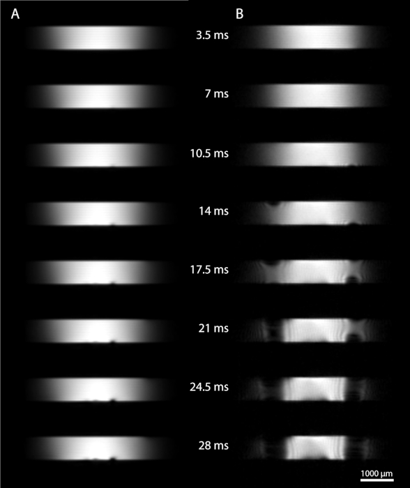 figure-results-9 Shear wave propagation diagram, time-lapse frames, 3.5-28 ms, 1000 µm scale, experimental analysis.