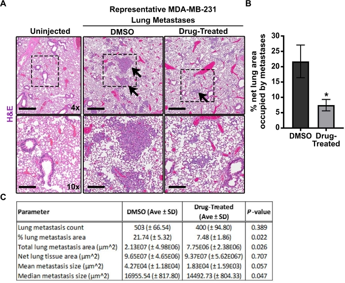 MDA-MB-231 lung metastases, H&E stained images, graph, and data table showing treatment effects.