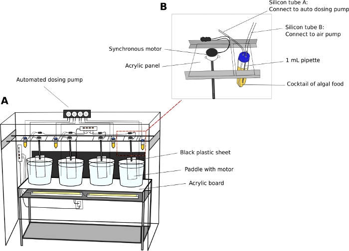 figure-results-2 Schema del sistema di dosaggio automatizzato; Predisposizione per l'approvvigionamento di cibo algale con motore, tubi e pipetta.