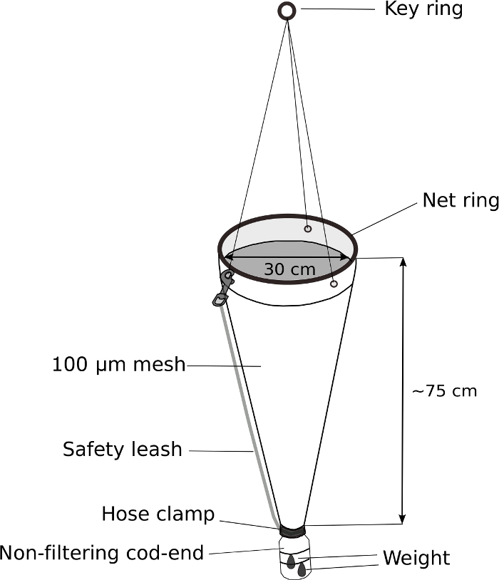 figure-results-5 Schema della rete di plancton con maglia da 100μm, anello di rete da 30cm, lunghezza 75cm per la raccolta di campioni marini.
