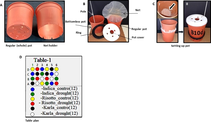 figure-results-2 Static pot setup diagram with net holder (A) assembly and experimental table plan (D).