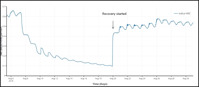 figure-results-5 Water retention recovery graph; soil moisture content vs. time; data analysis; Indica plants.