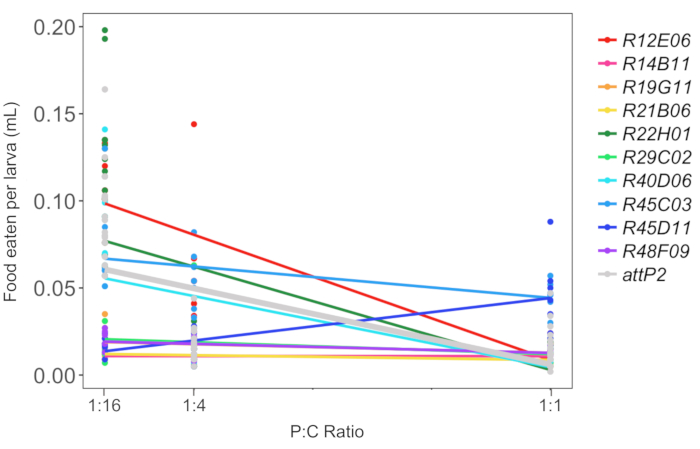 figure-results-4 Larva food consumption graph; P:C ratio analysis; various genotypes; data comparison; nutritional study.