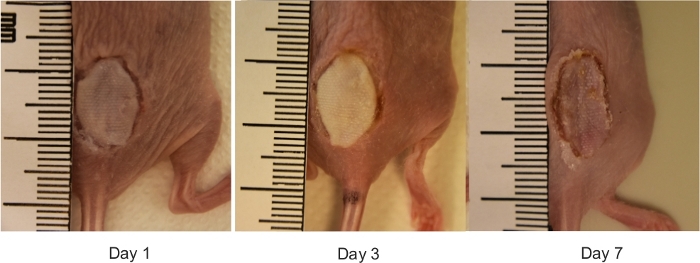 figure-results-3